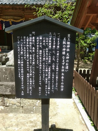 なまず様2